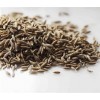 印度进口孜然最新价格 Cumin